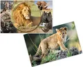 HERMA Schreibunterlage "Afrika Tiere" (B)550 x (H)350 mm