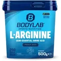 Arginine Powder (500g)