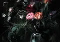 Fototapete KOMAR | STILL LIFE | 8 Teile | BxH 368 x 254 cm