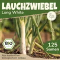 Little Plants BIO Lauchzwiebel Samen Ishikura Long White 125 Zwiebelsamen Gemüsesamen Samenfest für Gemüsegarten Gemüse Samen für Küche, Balkon, Hochbeet und Garten
