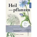 Heilpflanzen von Wolfgang K. Fischer / Franckh-Kosmos / Taschenbuch