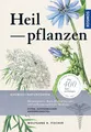 Wolfgang K. Fischer | Heilpflanzen | Taschenbuch | Deutsch (2020) | 336 S.