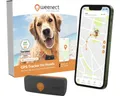 GPS Tracker weenect für Hunde 28 g, 6 x 2,4 x 1,5 cm, schwarz