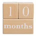 Pearhead Wooden Baby Age Milestone Blocks, Monthly Photo Prop for Newborn, Infant and Toddler, Pregnancy Countdown Calendar, Weeks Months Years Number Blocks for Baby Gift and Nursery Decor