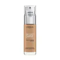 OA ACCORD PERFECT FDT 7D7W Ambre Dore/G