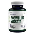 Boswellia Serrata 10:1 Extract (5000 mg Equivalent), 120 Vegan Capsules