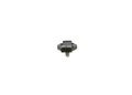 BOSCH 0 281 002 976 Sensor, Ansaugkrümmer Druck für Audi, Bentley, Cupra