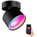 SSC-LUXon SAMU Decken Aufbauspot schwarz schwenkbar - mit Smart GX53 LED 6W RGB CCT WLAN - Strahler kompatibel mit Alexa, Siri & Google - Schwarz