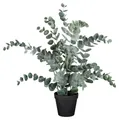 Kunstpflanze Eukalyptus im Topf HELENAS, Grün, Kunststoff Kunstpflanze Eukalyptus, Gasper, Höhe 53 cm
