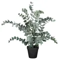 Kunstpflanze Dekopflanze Plastikpflanze Eukalyptus Kunststoff H 53 cm