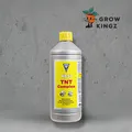 Hesi TNT-Complex 1l