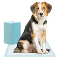 150x ARNOMED® Welpen Unterlagen 60x90cm, Saugfähige Pipi Matten für Hunde & Welpen, Puppy & Dog Pads, Trainigspad, Inkontinenzunterlagen Hund, Hundeunterlagen Pipi, Matten Auslaufsicher