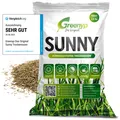 Greenyp® Sunny I Dürreresistenter Trockenrasen I 2,5kg für 100m² I Grassamen Rasensamen Rasensaat Gras Nachsaat schnellkeimend