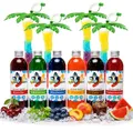 Slush Sirup Partyset 6 Sorten 250 ml + 4 grüne Palmen 1:5 AZO frei ohne Glyzerin