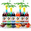 Sirup Partyset 6 x 250ml + 4 Palmen Grün für Slush, Getränke Hergestellt ohne AZO und Glycerin | Slushy selber machen | Slushmaschine Aroma Konzentrat 1:5, Perfekt für Ninja Slushy Maschine