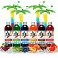 Slush Sirup Partyset 6 Sorten 250 ml + 4 grüne Palmen 1:5 AZO frei ohne Glyzerin