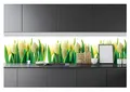 WallArena - Vlies Fototapete Gelbe Tulpen 250x60 cm - Fototapeten - Tapeten - für Wohnzimmer Schlafzimmer - Vliestapete Wandtapete Tapete 3D Effekt- inkl. Kleister - Blumen