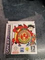 American Dragon: Jake Long (Nintendo Game Boy Advance, 2006)