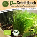 Schnittlauch Samen (BIO) - 500 Samen Kräutersamen Schnittlauchsamen
