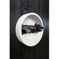 finestgreen Pflanzschale Hanging Wally, Robust & leicht – frostfest für Innen- und Außenbereich weiß Ø 50.0 cm x 10.0 cm