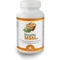 Dr. Jacob's Boswellia MSM forte Weihrauch Schwefel OPC