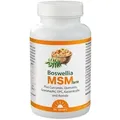 Dr. Jacob's Boswellia MSM forte mit Weihrauch+Quercetin+OPC 90 St