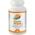Boswellia Msm forte Dr.Jacob's Tabletten 90 St