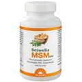 Dr. Jacob's Boswellia MSM forte Weihrauch Schwefel OPC