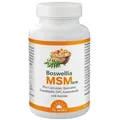Dr. Jacob's Boswellia MSM forte Weihrauch Schwefel OPC