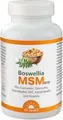 BOSWELLIA MSM forte Dr.Jacob's Tabletten 90 St