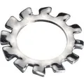 Fadix Orandela Dentada (M5) (49403535)