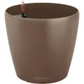 Lechuza Classico Color (34.50 x 32.50 cm) (13223)