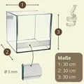 Terrarium 30x30x30 cm Schnecken Spinnen Amphibien Glas Terrarium Mit Belüftung Pflanzen Reptilienbecken Mit Falltür Glasterrarium 30 Klein