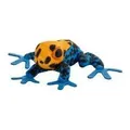 Beppe Gelber Laubfrosch cm (61087394)
