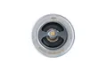 NRF 725173 Thermostat, Kühlmittel für OPEL,VAUXHALL