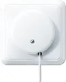 JUNG 5506 ZU WW Elektroschalter (5506ZUWW)