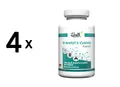 4 x Zec+ Health+ N-Acetyl L-Cysteine (120) Unflavored (144,13 EUR/kg)