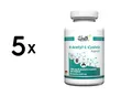 5 x Zec+ Health+ N-Acetyl L-Cysteine (120) Unflavored (138,38 EUR/kg)