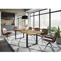 Baumtisch Mango 260x100x76 natur lackiert / Epoxid schwarz, U-Beine anthrazit glänzend EPOXY