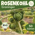 Little Plants BIO Rosenkohl Samen 50 Rosenkohlsamen Groninger Sprossenkohl Gemüsesamen Gemüsesaatgut Samenfest für Gemüsegarten, Hochbeet, Küche, Balkon und Garten