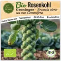 Rosenkohl Samen (BIO) - 50 Samen Gemüsesamen Rosenkohlsamen Groninger