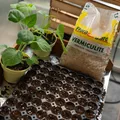 Mein schöner Garten DE Floragard Vermiculite, 2 x 5 L 130036-F