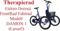 Elektro Therapierad Gleichgewichtsproblem Lösung Dreirad Erwachsene Frontrad Heckantrieb Rückenlehne 25km/h Modell Damon 1