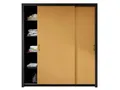 Beautysofa Kleiderschrank Außergewöhnliche moderne stilvolle Garderobe mit Schiebetür FRAMA II (Geräuchertes Grün/Tiefe Sahara/Toffee) B:185/255H:206/T:60CM