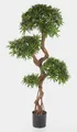 artplants Künstlicher Podocarpus, spiralförmig, 5800 Blätter, 160cm