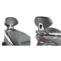 Givi TB, Beifahrer-Rückenlehne - Schwarz/Silber