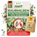 GREEN GUARDIA Power Hypoaspis miles Raubmilben gegen Trauermücken & Rote Vogelmilben – Streuware - Umweltfreundliches Mittel zur effektiven Schädlingsbekämpfung – (1x Tüte für 10m²)