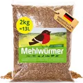 Detox Organica Mehlwürmer Getrocknet, 2Kg (13L) getrocknete Mehlwürmer mit sehr hohem Proteingehalt, Würmer für Reptilien, Vögel, Wildvögel, Igel, Fische, Schildkröten & Nager – Premium Qualität