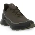 Salomon Wanderschuhe für Herren in unifarben uni S24-0012410 - Grün - 44,5