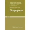 Dinophyceae Süßwasserflora von Mitteleuropa 6
